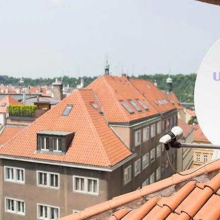 Abricos * Praha